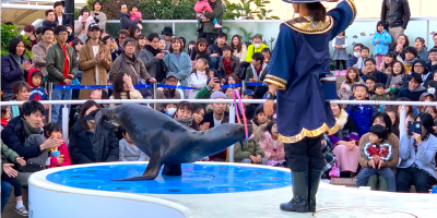 【サンシャイン水族館】厳選11駐車場！プラネタリウム・デートに混雑回避できて安い・予約はここ！