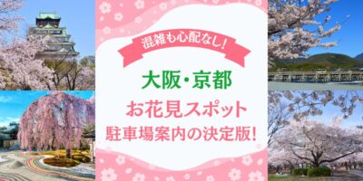 【大阪・京都のお花見スポット】駐車場案内の決定版！桜の名所・公園におすすめの安い穴場・予約はここ！
