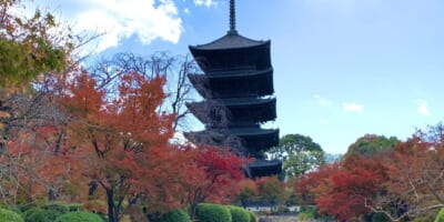 【東寺・五重塔】駐車場案内の決定版！ライトアップ・イベント・紅葉に安い料金・予約ならここ！