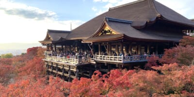 【清水寺・高台寺】駐車場案内の決定版！ランチ・ライトアップ・御朱印に安い最大料金・予約ならここ！