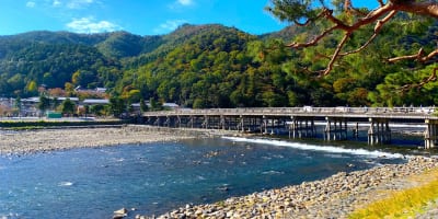 【嵐山・天龍寺】駐車場案内の決定版！ランチ・観光・トロッコ・混雑に効く安い・予約はここ！