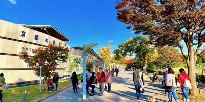 【京都水族館・京都鉄道博物館】駐車場案内の決定版！土日も安い最大料金・無料の裏ワザはここ！