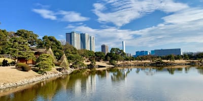 【浜離宮恩賜庭園】厳選11駐車場！お花見・紅葉・ランチに安い最大料金・予約ならここ！