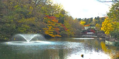 【井の頭公園・ジブリ美術館】厳選16駐車場！動物園・レジャー・混雑に効く安い・予約ならここ！