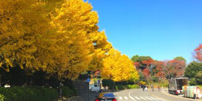 【北の丸公園】厳選11駐車場！お花見・紅葉に安い最大料金・予約はここ！