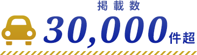 掲載数30,000件超