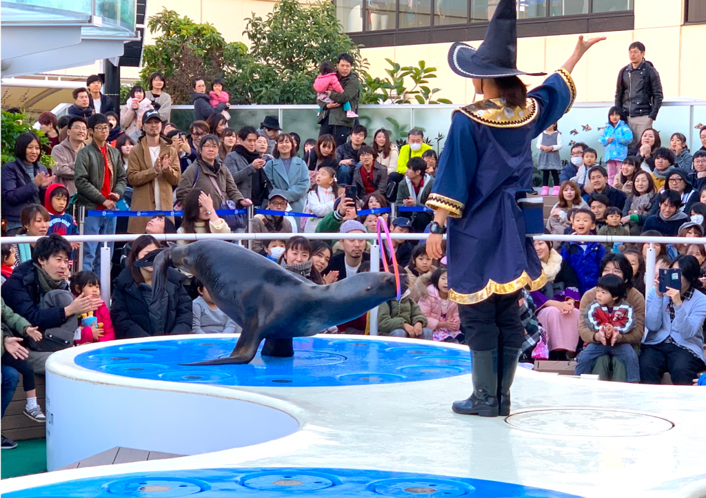 サンシャイン水族館 厳選10駐車場 イベント デートに混雑回避できて安いのはここ 駐車場の神様